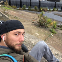 photo de Pompon