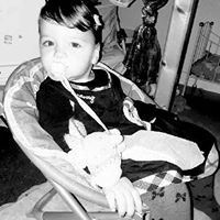 photo de Nitroalves