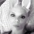 Rencontrer Femme besançon Sosochoukette