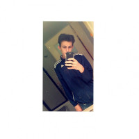photo de Lion15