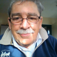 photo de APIPAPA
