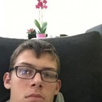 photo de Dragofurie