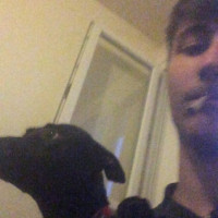photo de Sam31sans