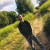 Rencontrer Homme noisy-le-sec Sama05