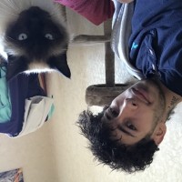 photo de Ryanls