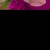 Rencontrer Femme Dordogne Adeline02