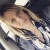 Rencontrer Femme Ardennes Jeanne