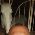 rencontre photo de Pascal