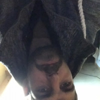 photo de Dave2020