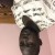 Rencontrer Homme Loire (haute) Ismael