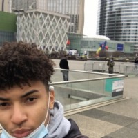 photo de Binkds