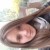 Rencontrer Femme haute normandie  Zoeaurelia