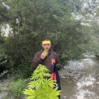 photo de Romfal17