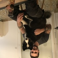 photo de Groschat