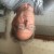 Rencontrer Homme Var Cotier83