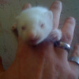 rencontre photo de Dodo2429