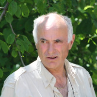 photo de Vikidu