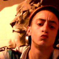 photo de Littlelion