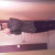 Rencontrer Homme boussenois Johnny21