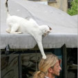 Photo du profil