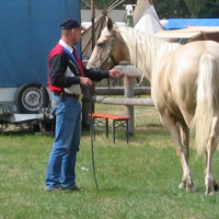 photo de JOLECOWBOY