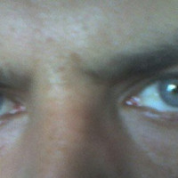 photo de Galbee