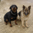 rencontre photo de Mike1317