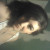 Rencontrer Femme mennecy Cloclor