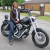 Rencontrer Femme perrusson Hemerocalle