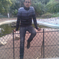 photo de Smomed