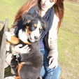 rencontre photo de Chychoune
