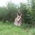 Rencontrer Femme stosswihr Lolo1968