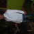 Rencontrer Homme menin Michoux31