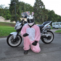 photo de Pinkrabbitrider