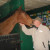 Rencontrer Homme peltre Adock57