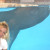 Rencontrer Femme talant Sensuelle33