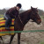Rencontrer Homme noaillan Manonblanchardi