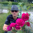 rencontre photo de Stephane