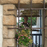 photo de Vincentimetre1