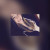 Rencontrer Femme moudon Fionnaa