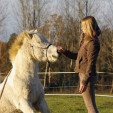 rencontre photo de Leukloutch