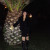 Rencontrer Femme cormeilles-en-parisis Mariosidelia