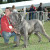 Rencontrer Homme courcelles Marb65