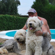rencontre photo de Ruffito