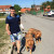 Rencontrer Homme samer Jeremy62830
