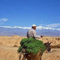 photo de Nizarhicham