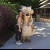 Rencontrer Femme droisy Lauraritanas