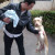 Rencontrer Homme villevieux Alpatch95