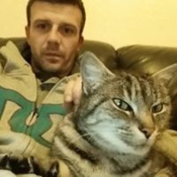 photo de Mattsim