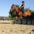 rencontre photo de Habby1